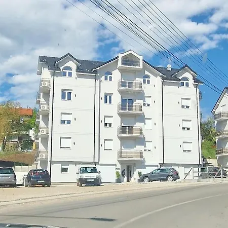 Nikac Soko Banja